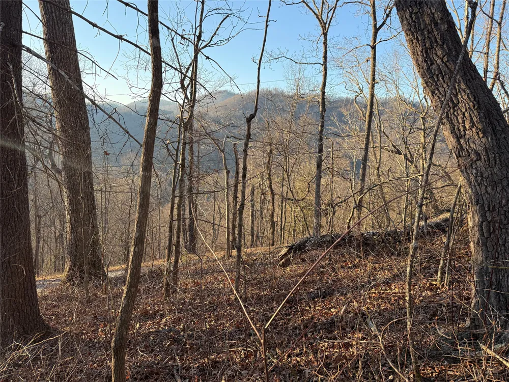 45 Big Pilot Mountain Glenville, NC 28763