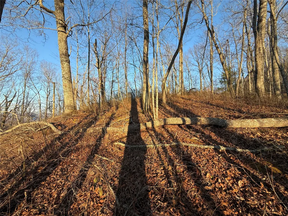 45 Big Pilot Mountain Glenville, NC 28763