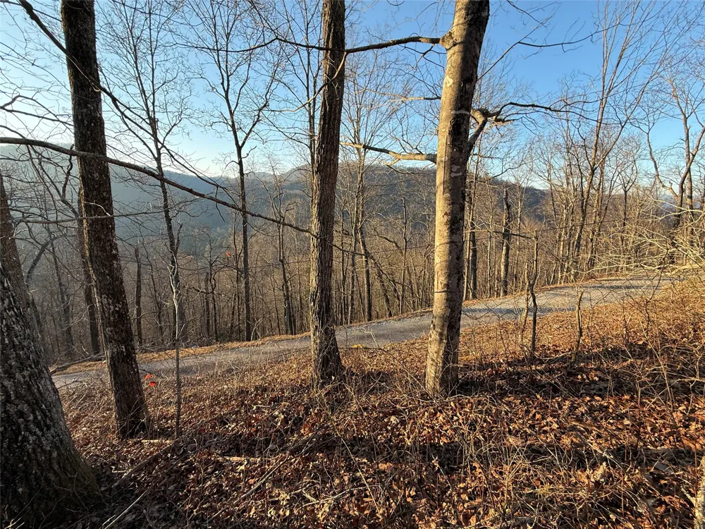 45 Big Pilot Mountain Glenville, NC 28763