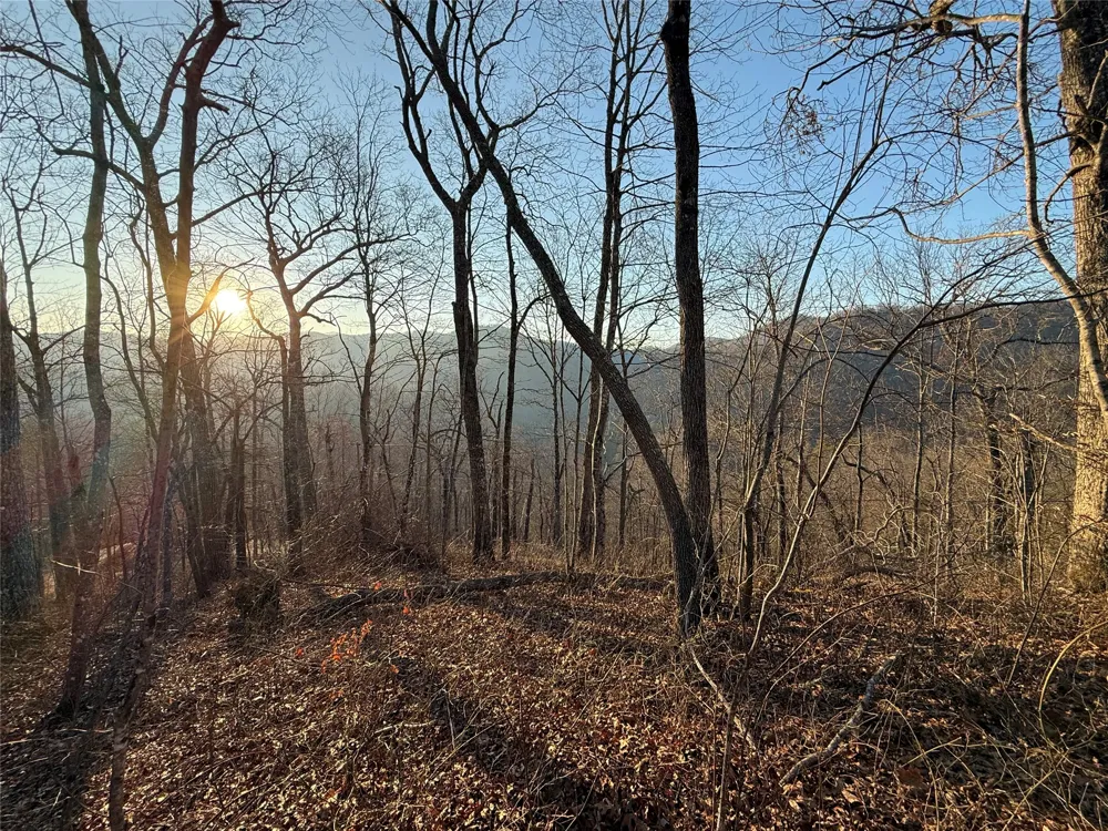45 Big Pilot Mountain Glenville, NC 28763