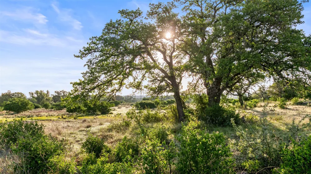 4 Vista Ridge Drive Round Mountain, TX 78663