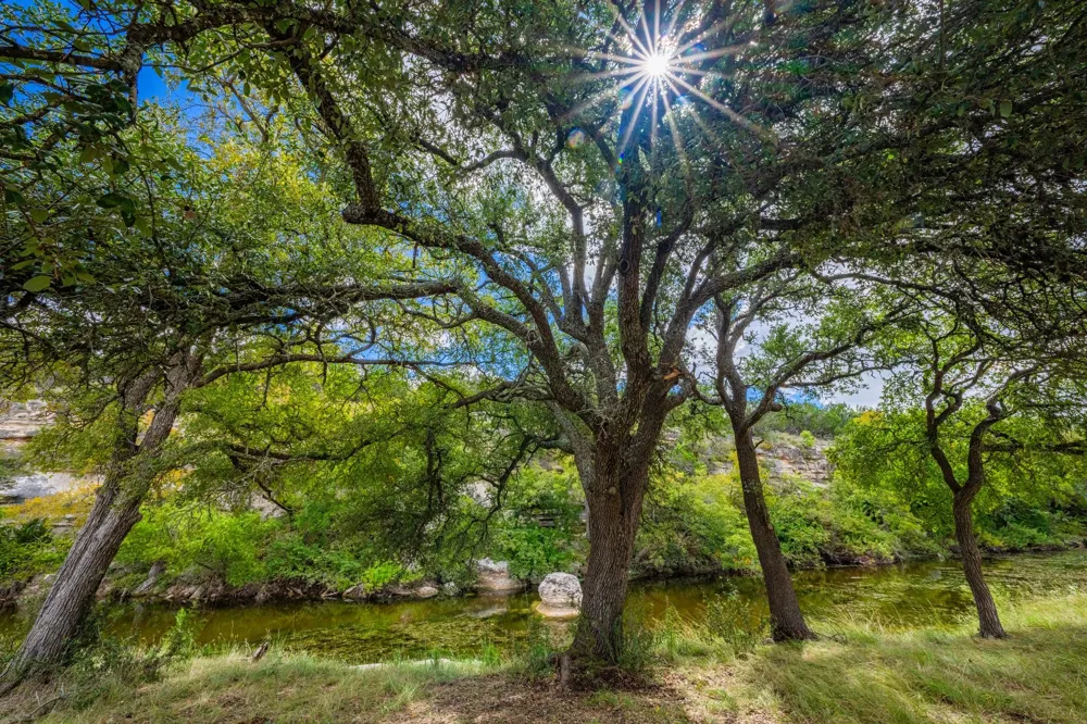 6477 S 783 Ranch Harper, TX 78631