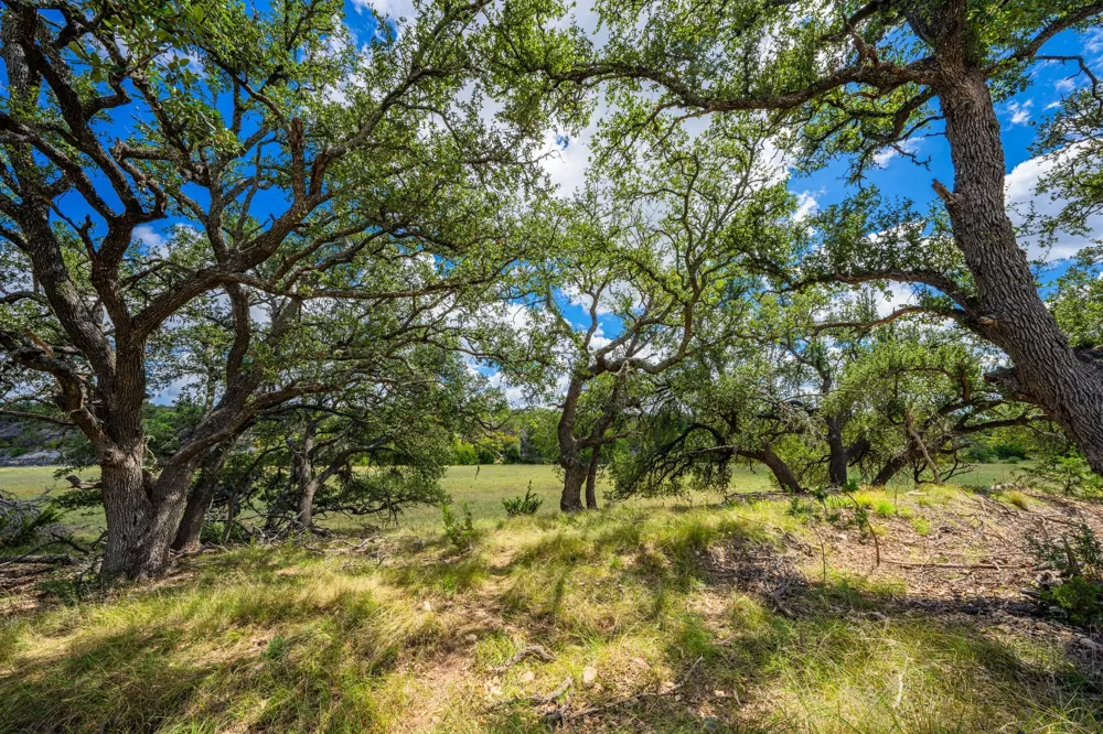 6477 S 783 Ranch Harper, TX 78631