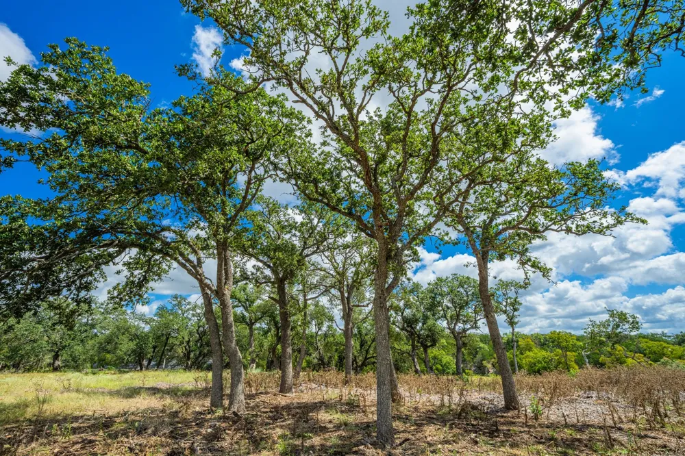 6477 S 783 Ranch Harper, TX 78631