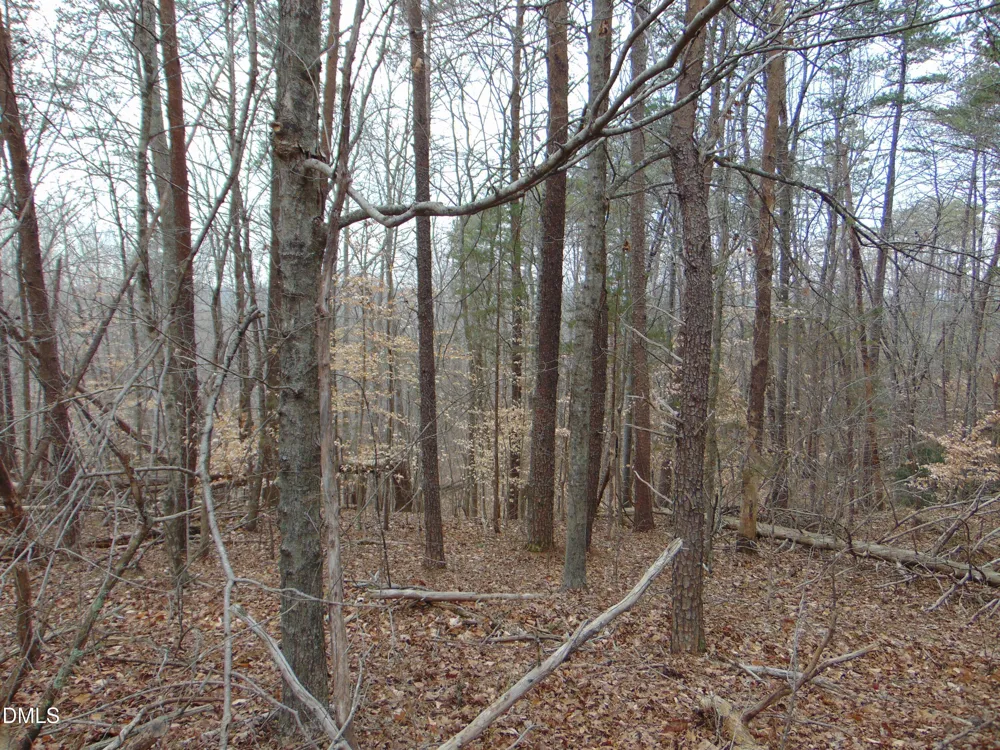 13 Lone Oak Trail Providence, NC 27315