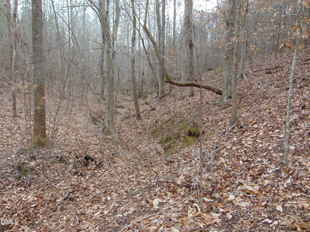 13 Lone Oak Trail Providence, NC 27315