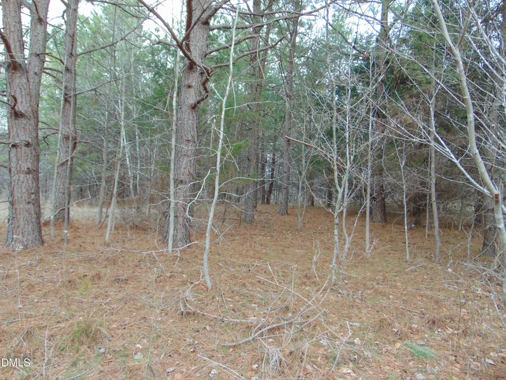13 Lone Oak Trail Providence, NC 27315