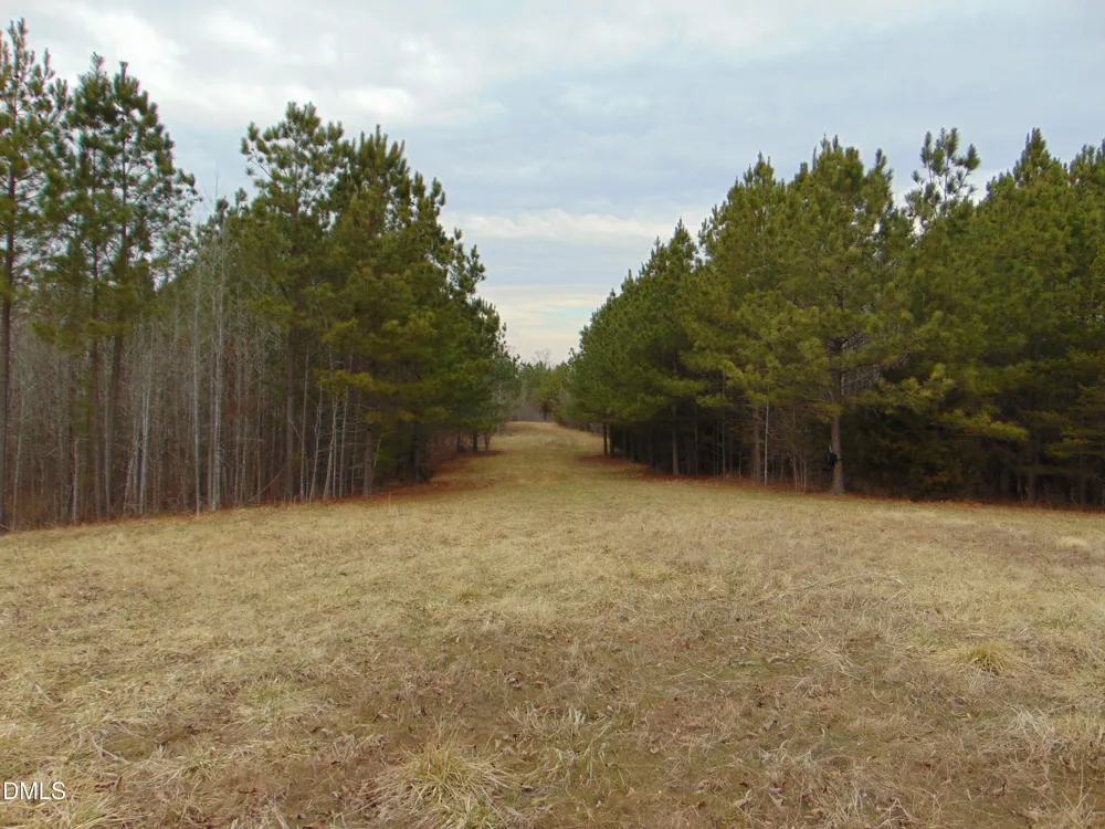 13 Lone Oak Trail Providence, NC 27315