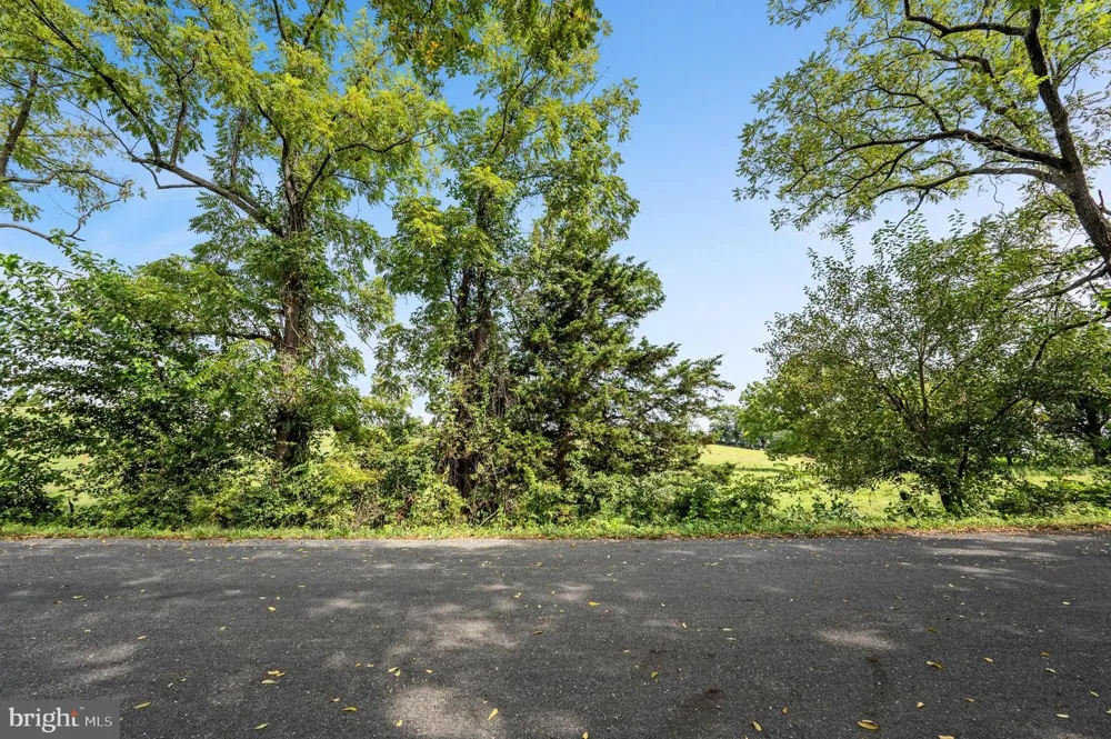 CARTERS LANE Stephens City, VA 22655