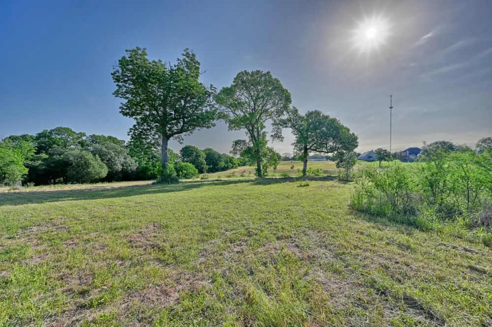 2917 Twisted Oak Drive Brenham, TX 77833