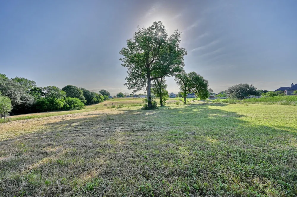 2917 Twisted Oak Drive Brenham, TX 77833