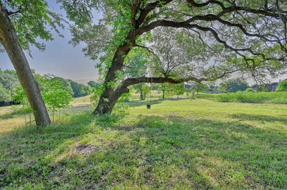 2917 Twisted Oak Drive Brenham, TX 77833