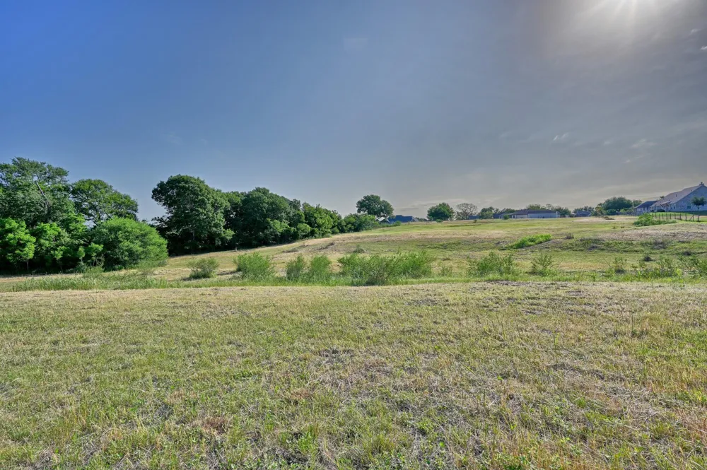 2917 Twisted Oak Drive Brenham, TX 77833