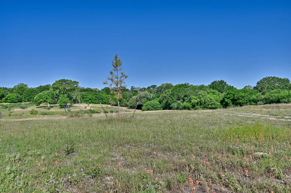 2917 Twisted Oak Drive Brenham, TX 77833