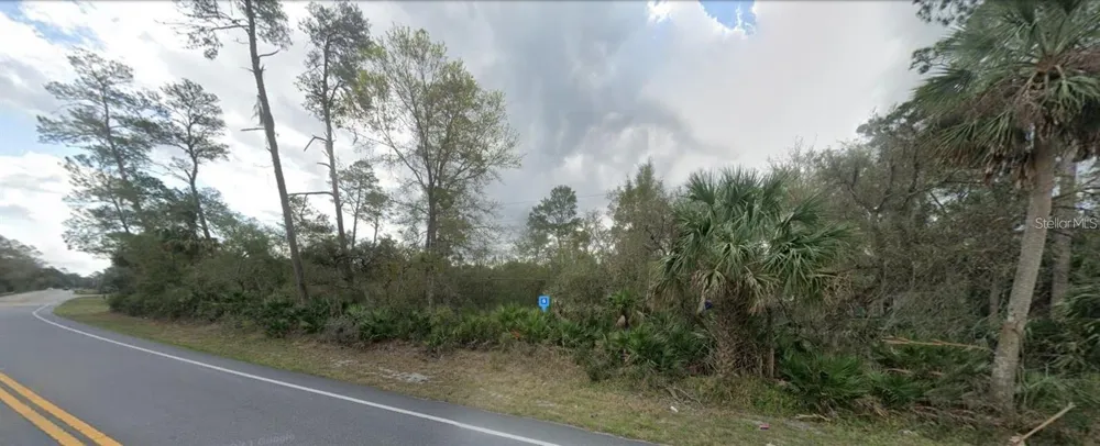 27654 COUNTY ROAD 42 Paisley, FL 32767