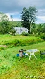 3 Burr Road Cochecton, NY 12726