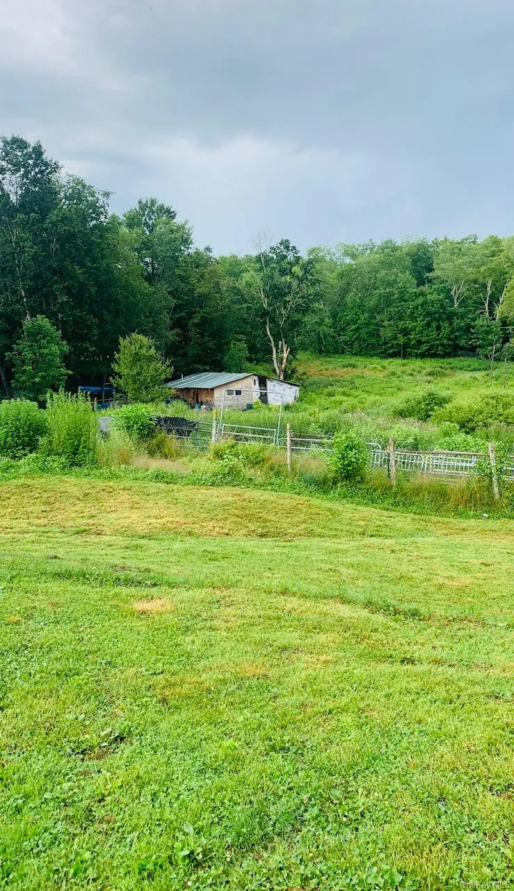 3 Burr Road Cochecton, NY 12726