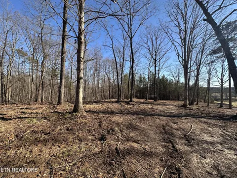1453 Pickett Park Hwy