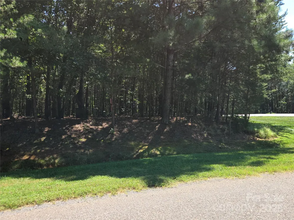 113 Water View Court #95 Badin Lake, NC 28127