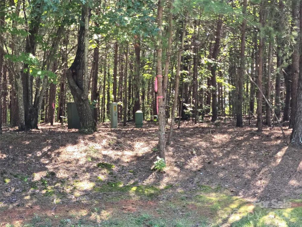 113 Water View Court #95 Badin Lake, NC 28127