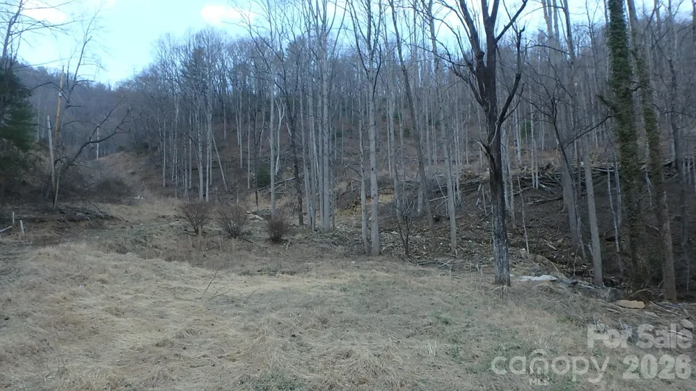 4696 NC Hwy 226A Highway Marion, NC 28752