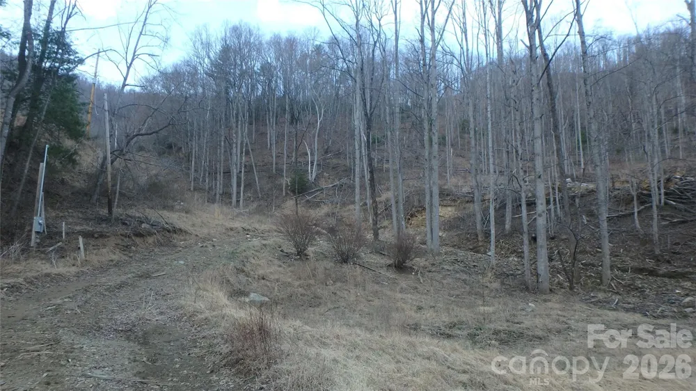 4696 NC Hwy 226A Highway Marion, NC 28752