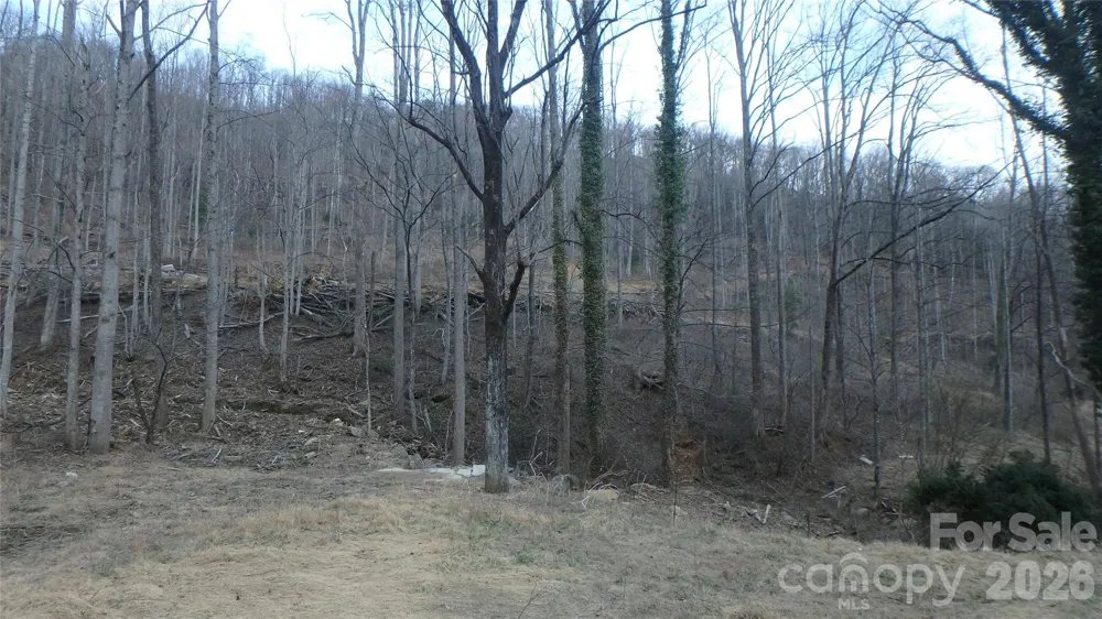 4696 NC Hwy 226A Highway Marion, NC 28752