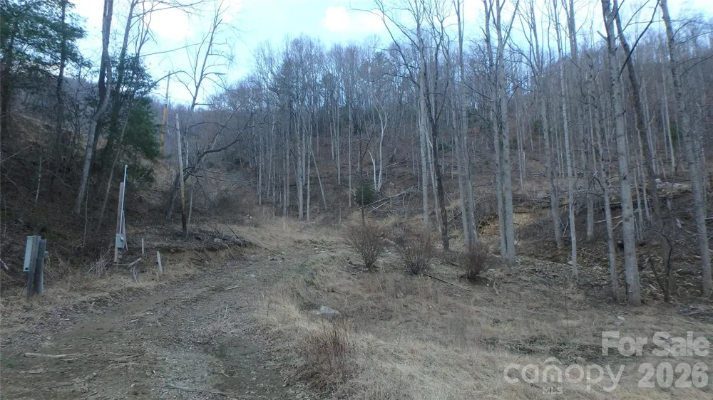 4696 NC Hwy 226A Highway Marion, NC 28752