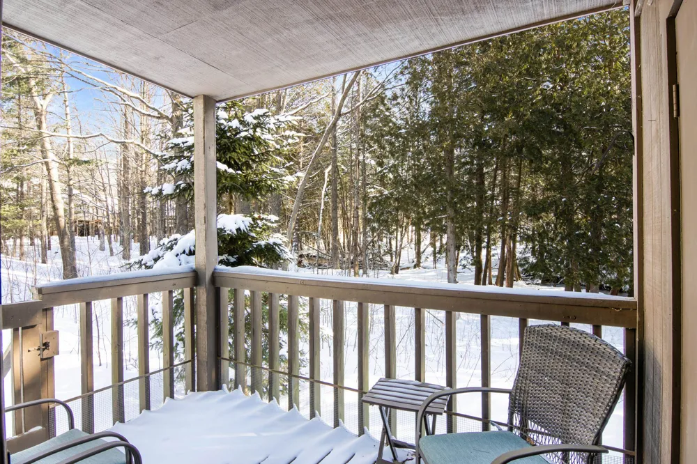 6865 Pinebrook Custer Township, MI 49615