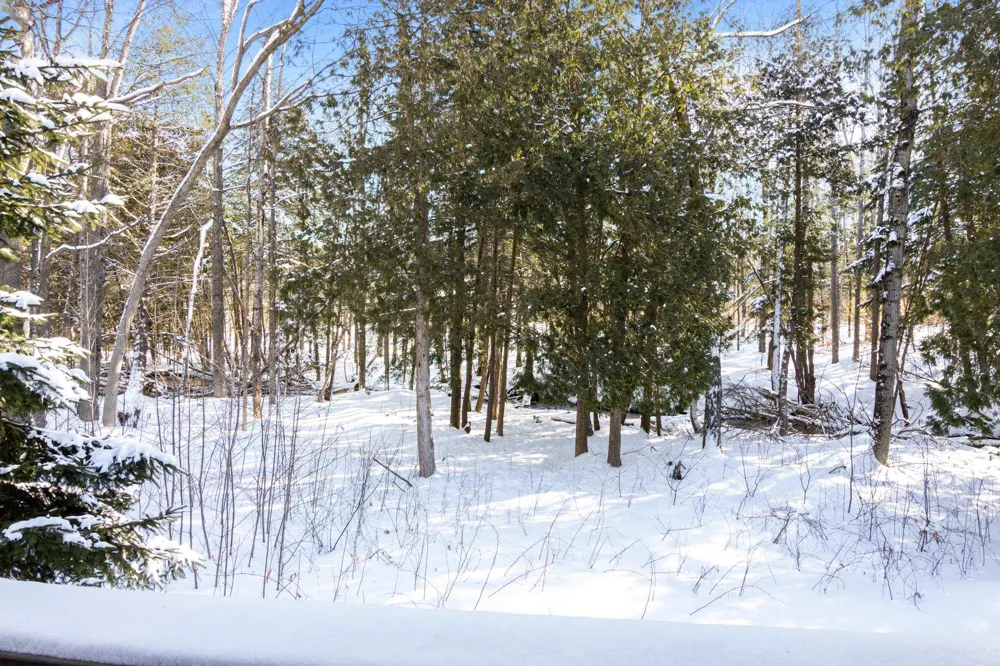 6865 Pinebrook Custer Township, MI 49615