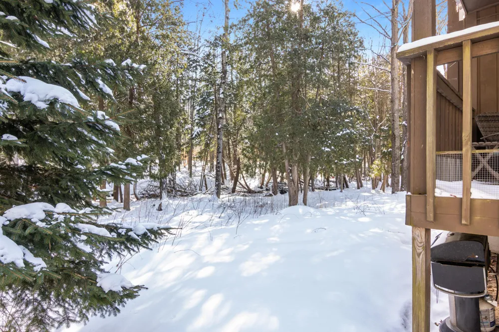 6865 Pinebrook Custer Township, MI 49615
