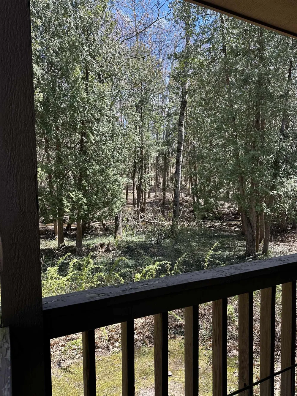 6865 Pinebrook Custer Township, MI 49615
