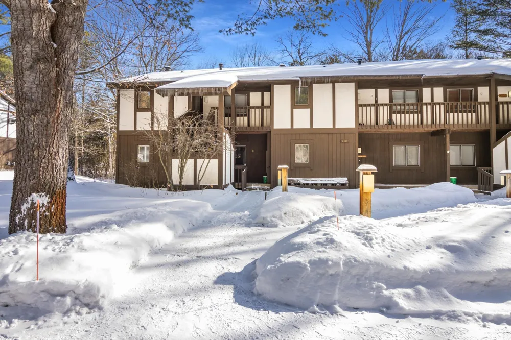 6865 Pinebrook Custer Township, MI 49615