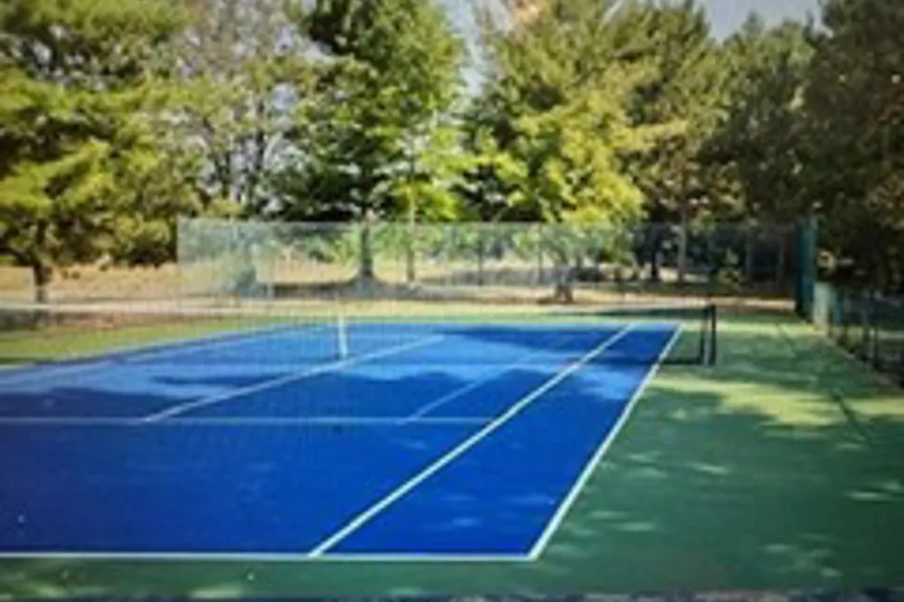 6865 Pinebrook Custer Township, MI 49615