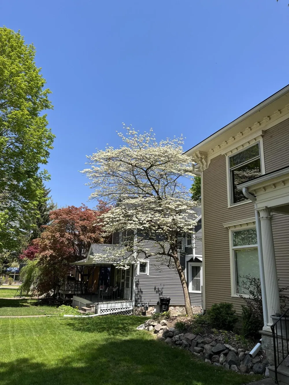 65 S Howell Street Hillsdale City, MI 49242