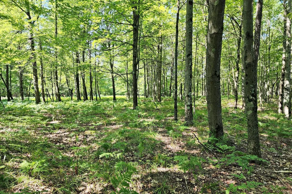 6127 Fawn Lake Drive Canadian Lakes, MI 49346