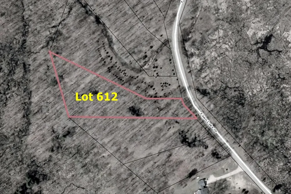 6127 Fawn Lake Drive Canadian Lakes, MI 49346