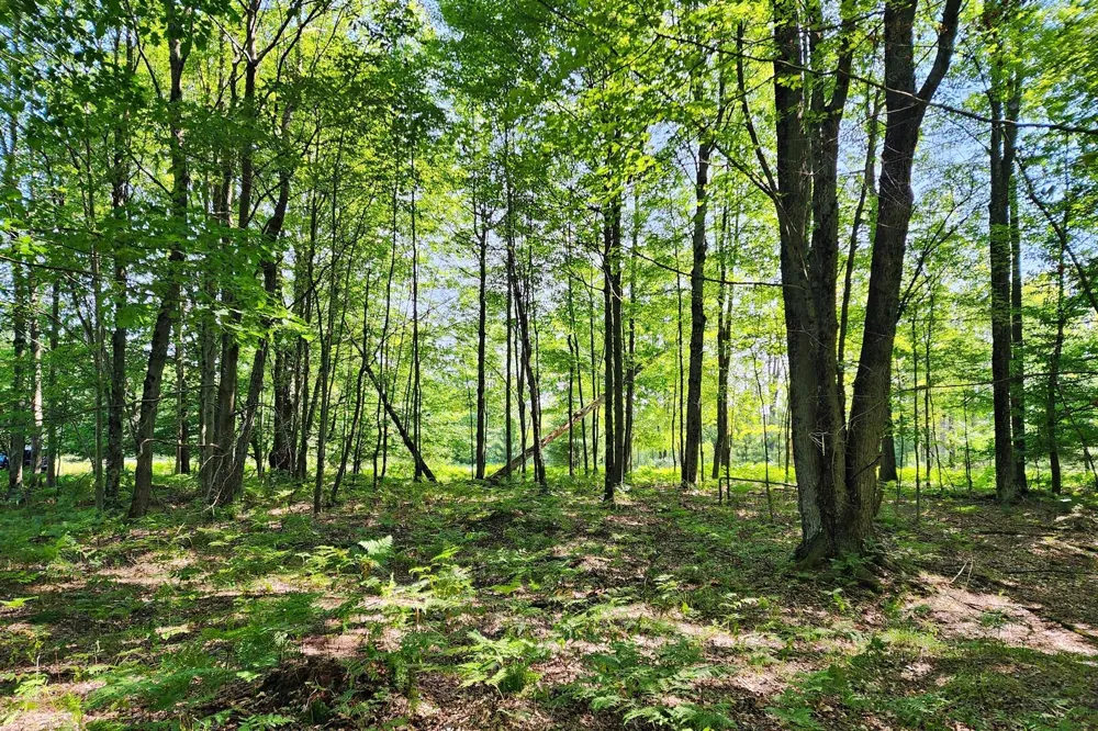 6127 Fawn Lake Drive Canadian Lakes, MI 49346