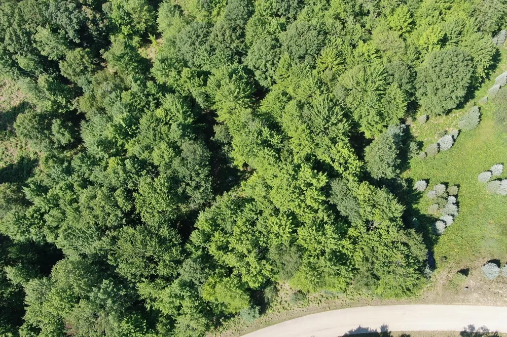 6127 Fawn Lake Drive Canadian Lakes, MI 49346