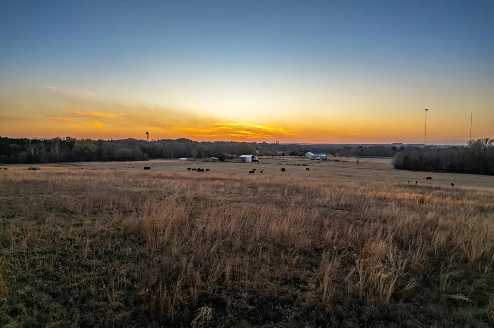 6751 Cr 4710 Larue, TX 75770