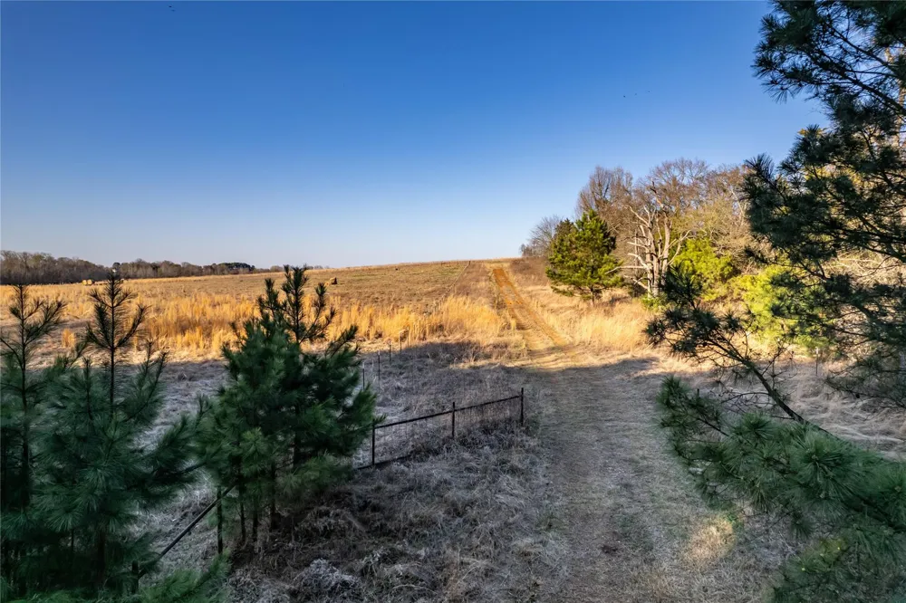 6751 Cr 4710 Larue, TX 75770