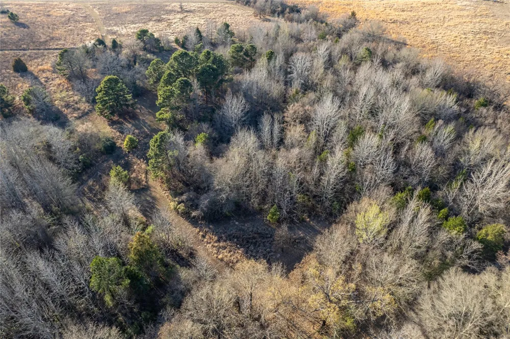 6751 Cr 4710 Larue, TX 75770