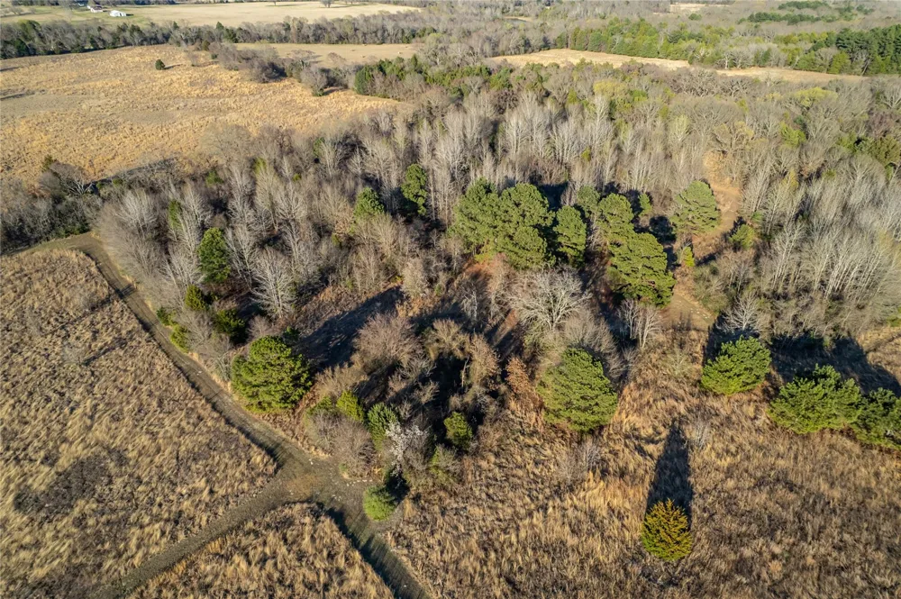 6751 Cr 4710 Larue, TX 75770