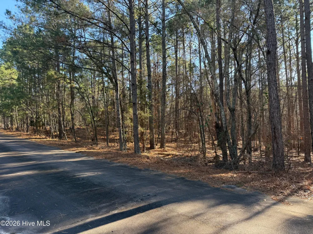 125 Millstone Court West End, NC 27376