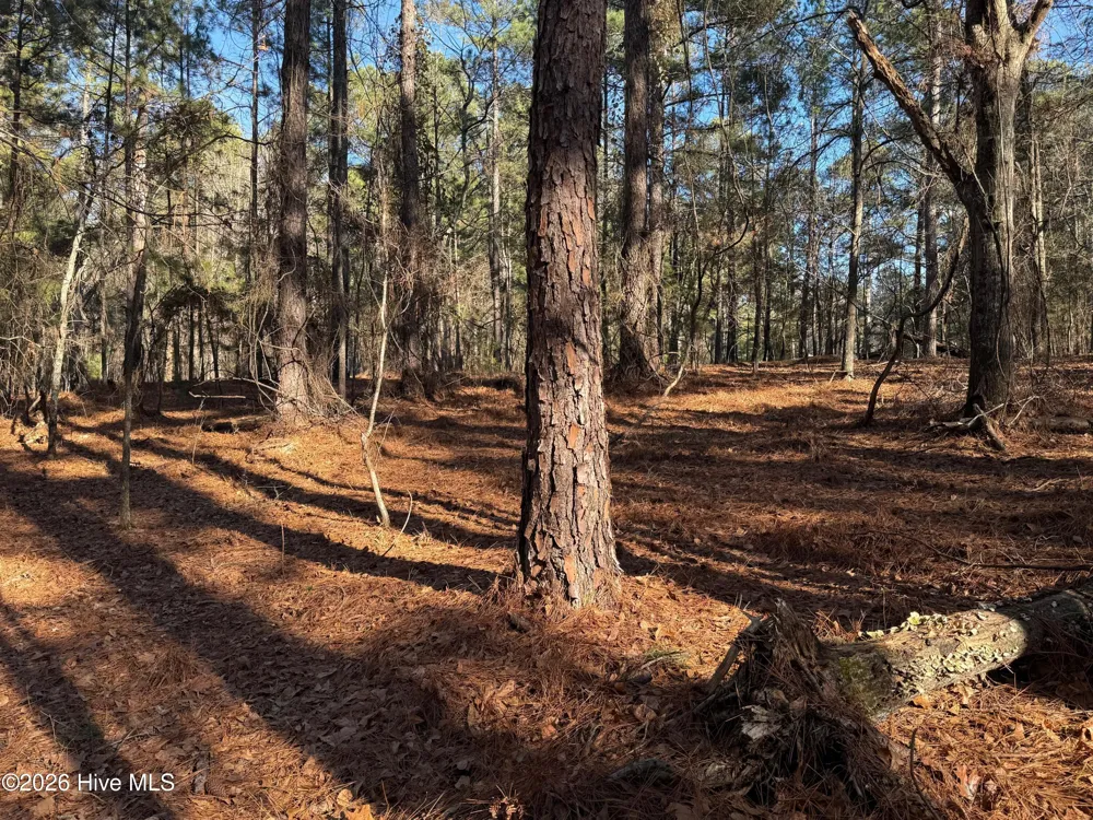 125 Millstone Court West End, NC 27376