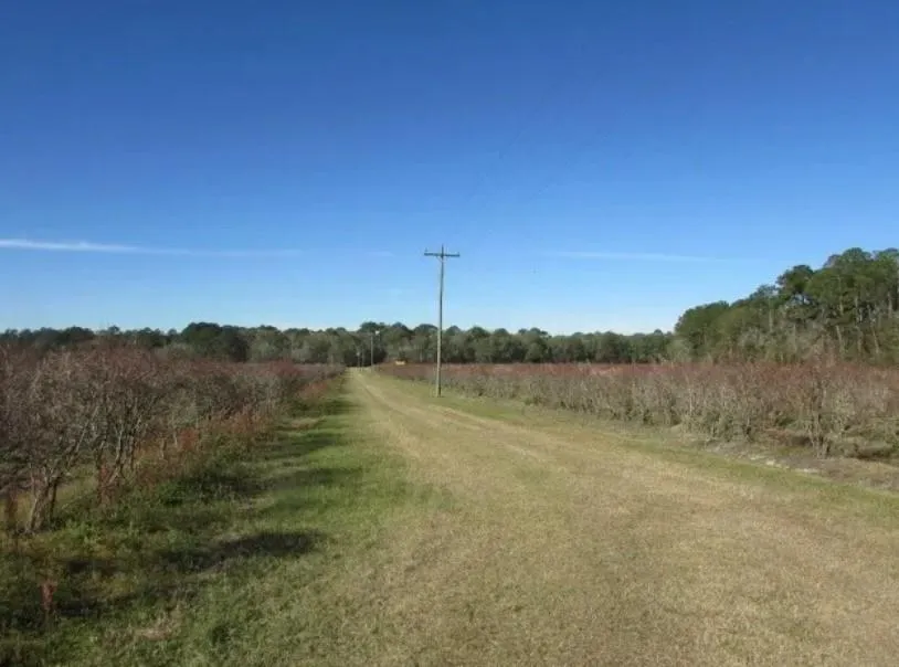 1019 D H Alderman Road Moultrie, GA 31788