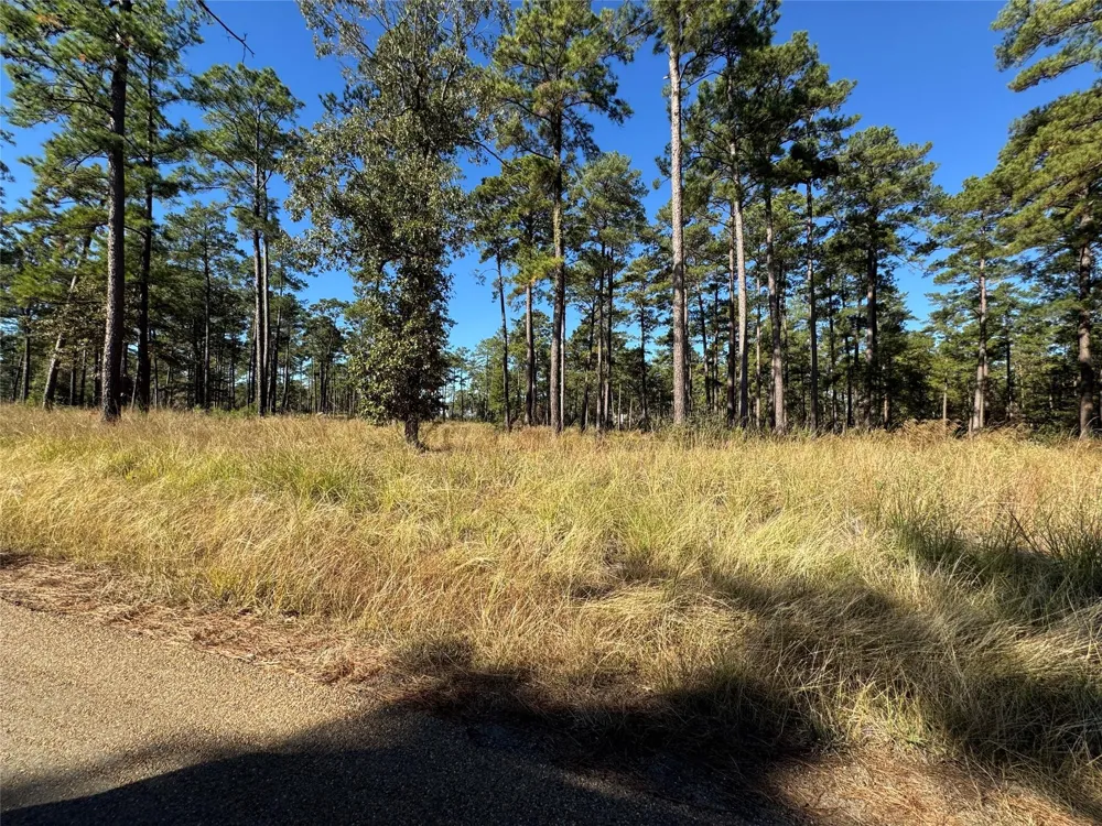 63 Private Road 6026 Brookeland, TX 75931