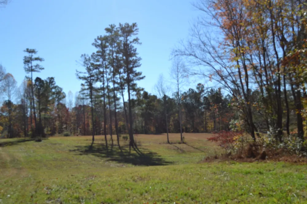 0 Whitson Hollow Rd Red Boiling Springs, TN 37150
