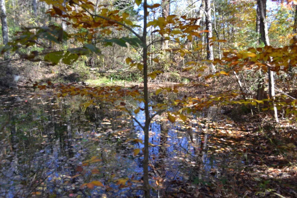 0 Whitson Hollow Rd Red Boiling Springs, TN 37150