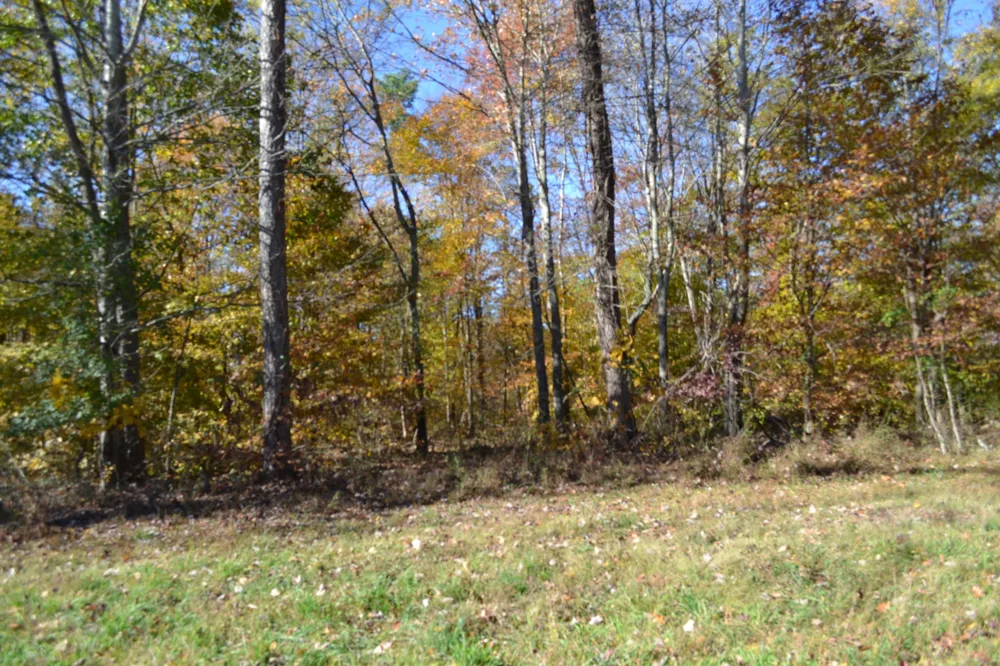 0 Whitson Hollow Rd Red Boiling Springs, TN 37150